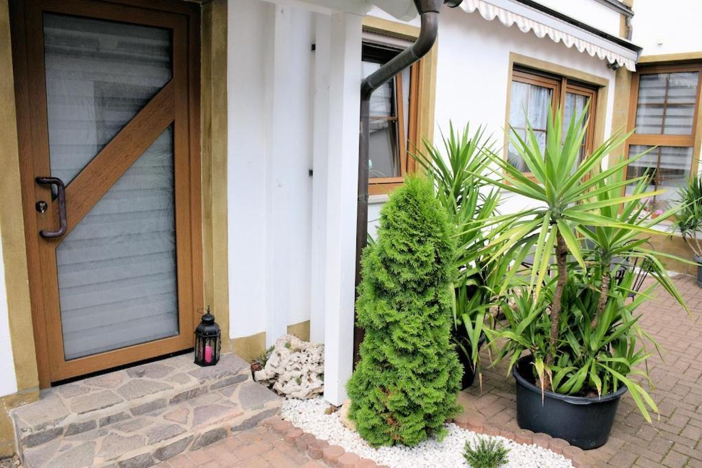 Appartement Louisenblick Bamberg